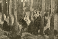 Thumbnail for version as of 11:25, 3 July 2019